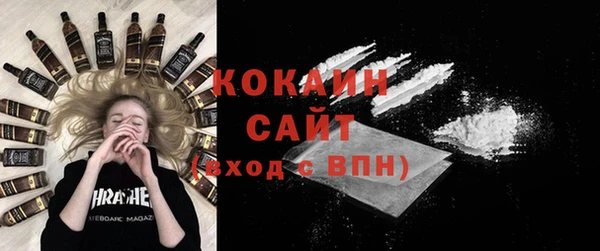 Альфа ПВП Няндома