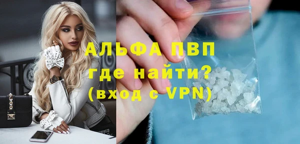 Альфа ПВП Няндома