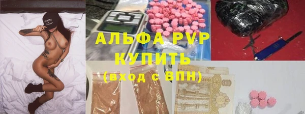 Альфа ПВП Няндома