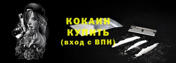 mdpv Новозыбков