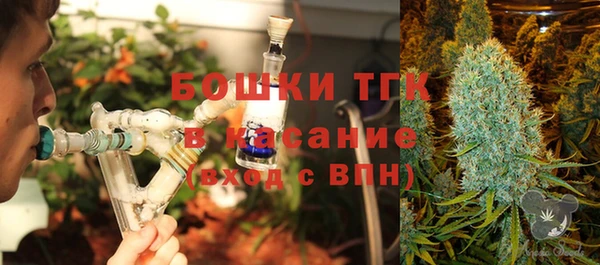 Альфа ПВП Няндома