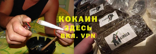 Альфа ПВП Няндома
