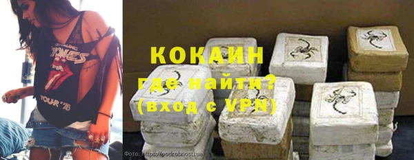 Альфа ПВП Няндома